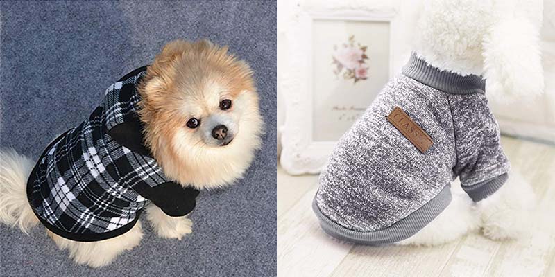 vêtements pour animaux